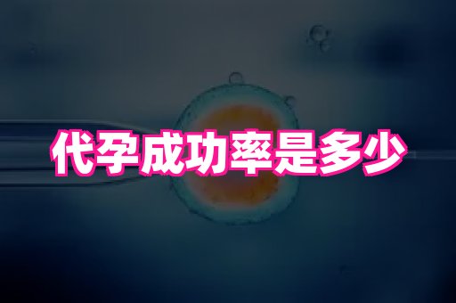 江苏助孕网 1