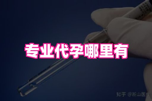 江苏助孕网 2