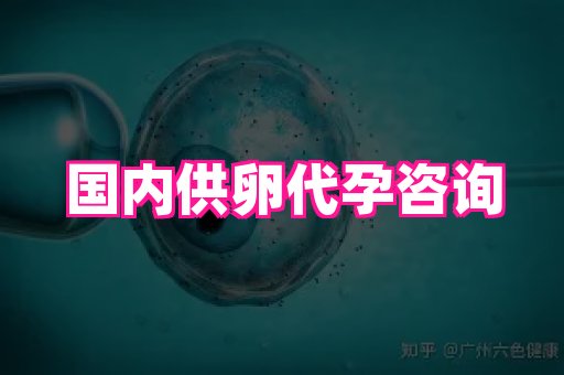 江苏助孕网 4